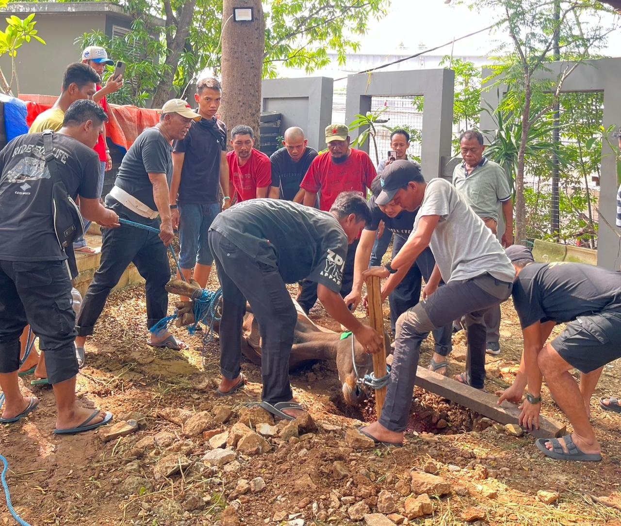 Pelaksanaan Idul Adha